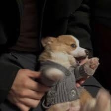 Bianca Mercado avatar